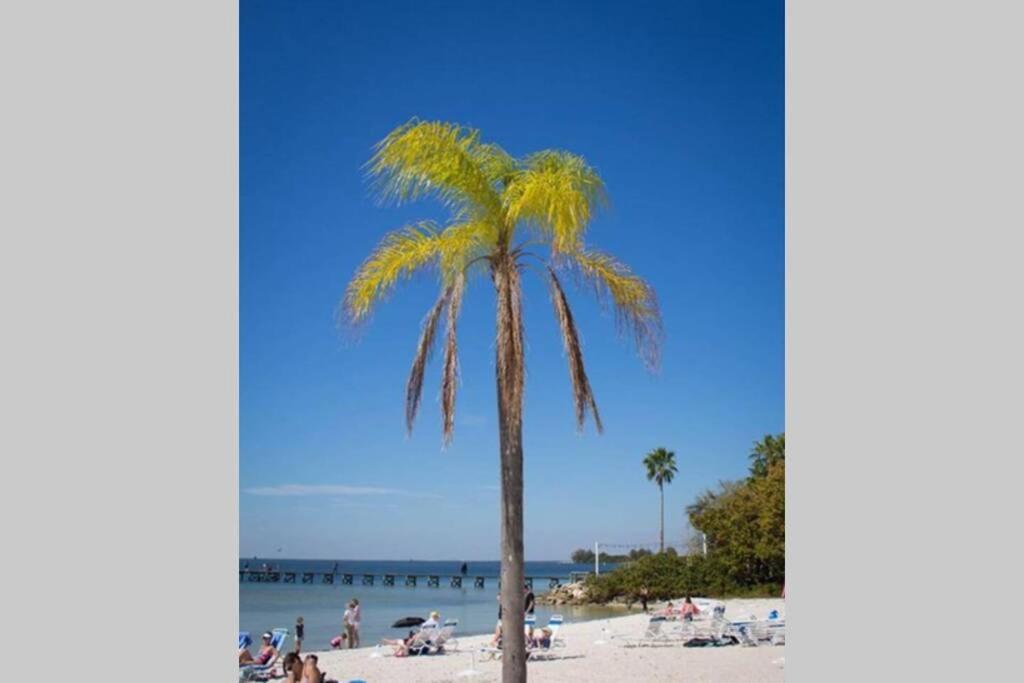רסקין Bay View, Studio206, Beach Steps Away! Pool+Wifi מראה חיצוני תמונה